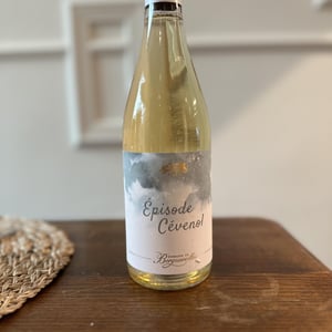 Episode Cévenol Blanc - Domaine De Berguerolles - mathieu-manifacier -2022