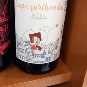 APE FURIBONDA - UCCI - Alessia Lenci 