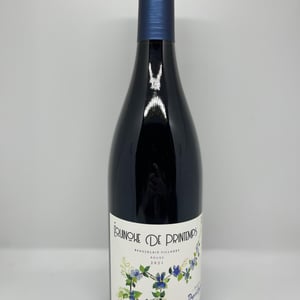 Equinoxe de Printemps - Dupré Goujon - sebastien-dupre-guillaume-goujon -2021