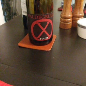 Equis Né Sous X - Domaine de l'R - Frédéric Sigonneau 