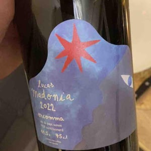 Ercomma - Lucas Madonia - Lucas Madonia 