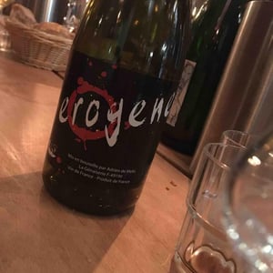 Érogène - Domaine de la Petite Soeur - Adrien de Mello 