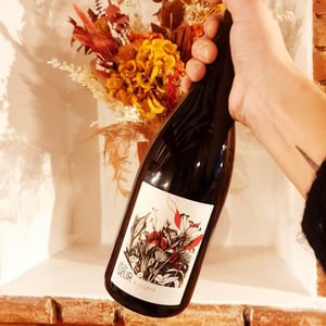 Érogène - Domaine de la Petite Soeur - adrien-de-mello