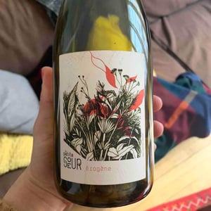 Domaine de la Petite Soeur - Adrien de Mello - Érogène