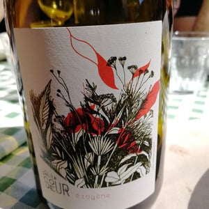 Domaine de la Petite Soeur - Adrien de Mello - Érogène