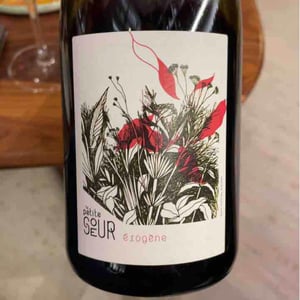 Érogène - Domaine de la Petite Soeur - Adrien de Mello 
