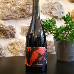 Eruption - Domaine Des Trouillères - Camille & Mikael Hyvert 