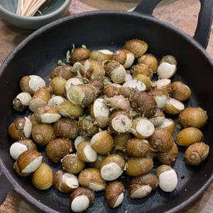 Escargots De Sicile - La Pêche à la Vigne - 369394