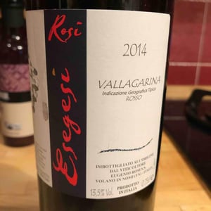Esegesi - Eugenio Rosi - Eugenio Rosi 