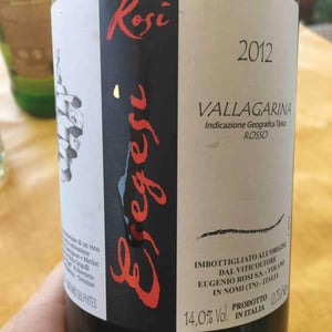 Esegesi - Eugenio Rosi - Eugenio Rosi 