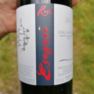 Esegesi - Eugenio Rosi - Eugenio Rosi 