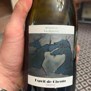 Esprit de Chenin - Domaine De La Paleine - jean-louis-bernet-ex-laurence-et-marc-vincent