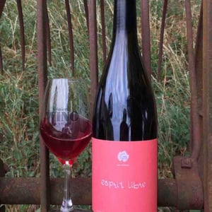 Clos des Grillons - Nicolas Renaud - Esprit Libre