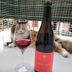 Clos des Grillons - Nicolas Renaud - Esprit Libre
