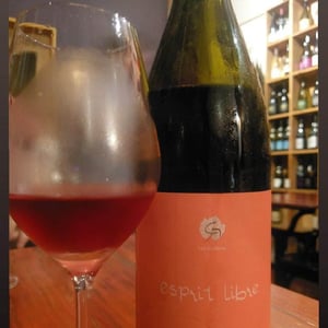 Esprit Libre - Clos des Grillons - Nicolas Renaud 