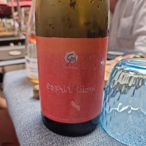 Esprit Libre - Clos des Grillons - Nicolas Renaud 