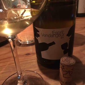 Domaine Thuronis - Vigneron Bien Fêteur - Alexandre Coulange & Astrid Lerouxel - Esprit Vendangeur
