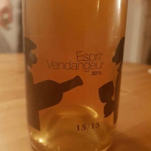 Esprit Vendangeur - Domaine Thuronis - Vigneron Bien Fêteur - alexandre-coulange-astrid-lerouxel