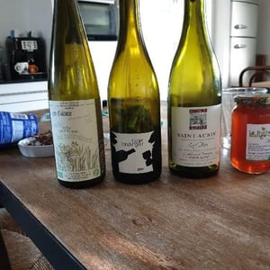 Esprit Vendangeur - Domaine Thuronis - Vigneron Bien Fêteur - Alexandre Coulange & Astrid Lerouxel 