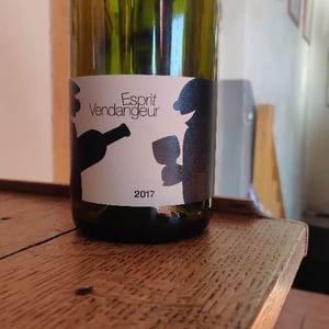 Esprit Vendangeur - Domaine Thuronis - Vigneron Bien Fêteur - alexandre-coulange-astrid-lerouxel