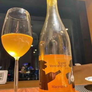 Domaine Thuronis - Vigneron Bien Fêteur - Alexandre Coulange & Astrid Lerouxel - Esprit Vendangeur