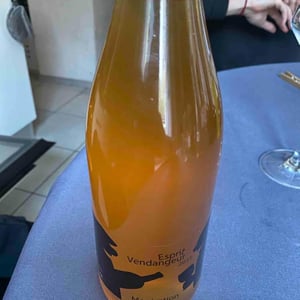 Domaine Thuronis - Vigneron Bien Fêteur - Alexandre Coulange & Astrid Lerouxel - Esprit Vendangeur