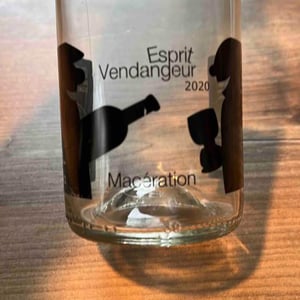 Esprit Vendangeur - Domaine Thuronis - Vigneron Bien Fêteur - Alexandre Coulange & Astrid Lerouxel 