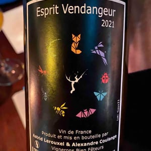 Esprit Vendangeur - Domaine Thuronis - Vigneron Bien Fêteur - Alexandre Coulange & Astrid Lerouxel 