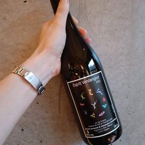 Esprit Vendangeur - Domaine Thuronis - Vigneron Bien Fêteur - alexandre-coulange-astrid-lerouxel