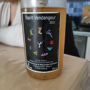 Esprit Vendangeur - Domaine Thuronis - Vigneron Bien Fêteur - Alexandre Coulange & Astrid Lerouxel 