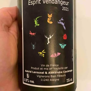 Esprit Vendangeur - Domaine Thuronis - Vigneron Bien Fêteur - Alexandre Coulange & Astrid Lerouxel 