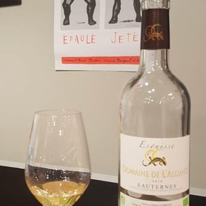 Esquisse - Domaine de l'Alliance - daniel-alibrand
