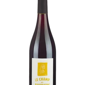 Essai Libre - Le Champ Des Barbiers - christine-stephane-gros