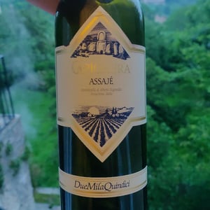 Assajé - Capichera - giovannella-alberto-ragnedda -2015