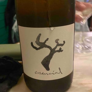 Essencial 2021 - Celler Cal Tiques - Joan Rubio