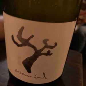 Essencial - Celler Cal Tiques - Joan Rubio 