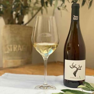 Essencial - Celler Cal Tiques - joan-rubio