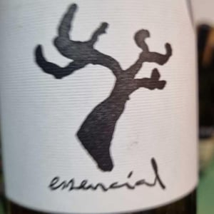 Celler Cal Tiques - Joan Rubio - Essencial