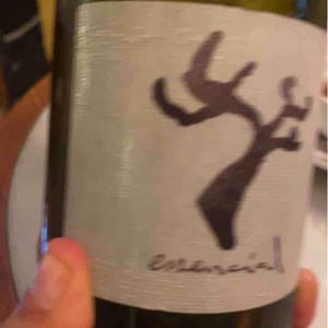Essencial - Celler Cal Tiques - Joan Rubio 