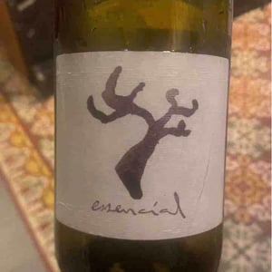 Essencial - Celler Cal Tiques - joan-rubio