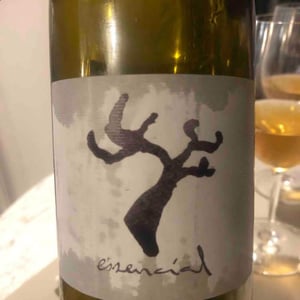 Celler Cal Tiques - Joan Rubio - Essencial