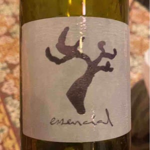 Essencial - Celler Cal Tiques - Joan Rubio 