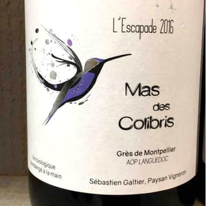 Estela - Mas Des Colibris - sebastien-galtier