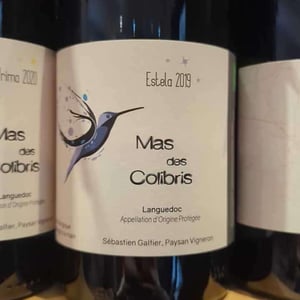 Estela - Mas Des Colibris - sebastien-galtier