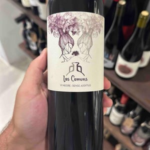 Estrem - Los Comuns - jordi-escoda-agusti-perello