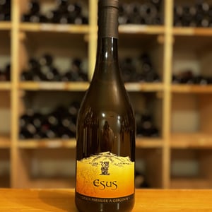 ESUS - Gilles Persilier - Gilles Persilier -2022