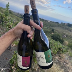 Etna Bianco - Barone Beneventano - Roberto & Pierluca Beneventano della Corte -2020