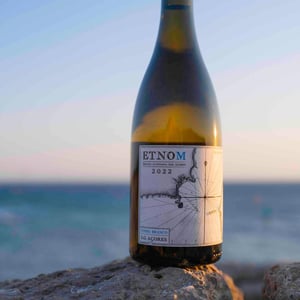 Etnom - Etnom Vinhos - catia-laranjo