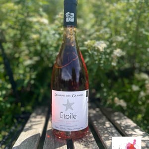 Etoile - Domaine des Granges - delphine-christian-nobiron -2019