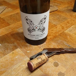 Domaine Jeremy Bricka - Vins Naturels D'Alp'titude - Jeremy Bricka - Étraire de L'Aduï